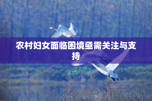 农村妇女面临困境亟需关注与支持