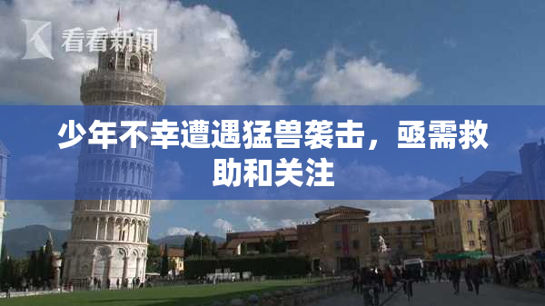 少年不幸遭遇猛兽袭击，亟需救助和关注