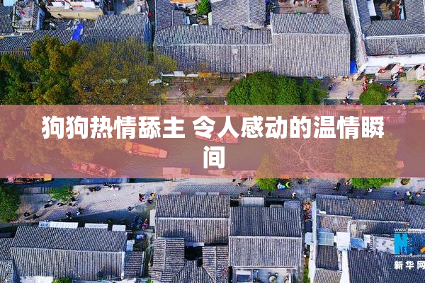 狗狗热情舔主 令人感动的温情瞬间