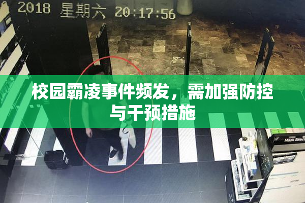 校园霸凌事件频发，需加强防控与干预措施