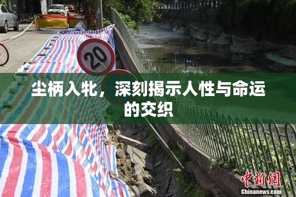 尘柄入牝，深刻揭示人性与命运的交织