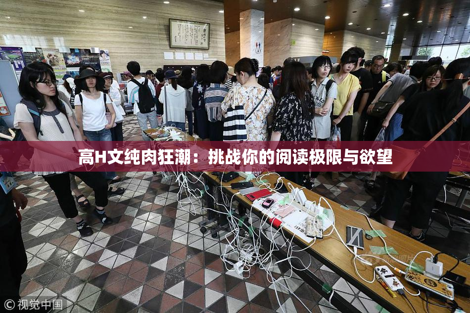 高H文纯肉狂潮：挑战你的阅读极限与欲望