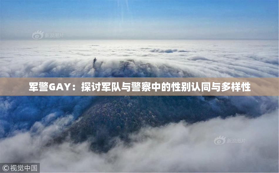 军警GAY：探讨军队与警察中的性别认同与多样性