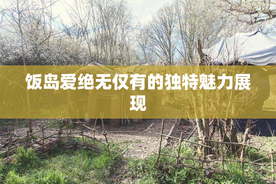 饭岛爱绝无仅有的独特魅力展现