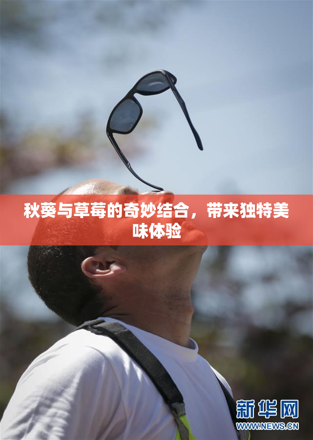 秋葵与草莓的奇妙结合，带来独特美味体验
