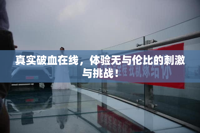 真实破血在线，体验无与伦比的刺激与挑战！