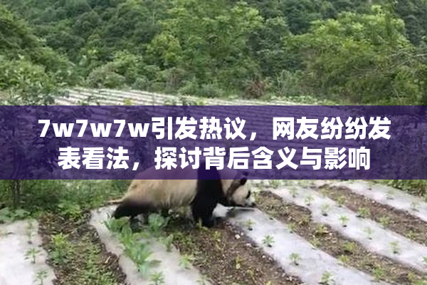 7w7w7w引发热议，网友纷纷发表看法，探讨背后含义与影响
