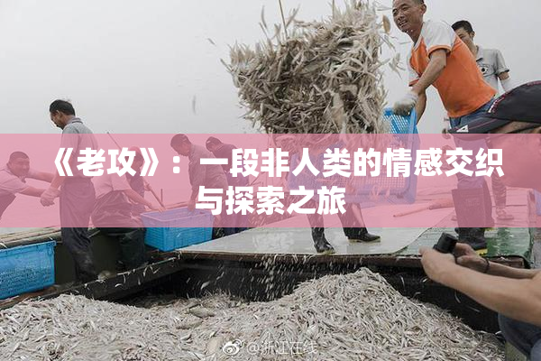 《老攻》：一段非人类的情感交织与探索之旅