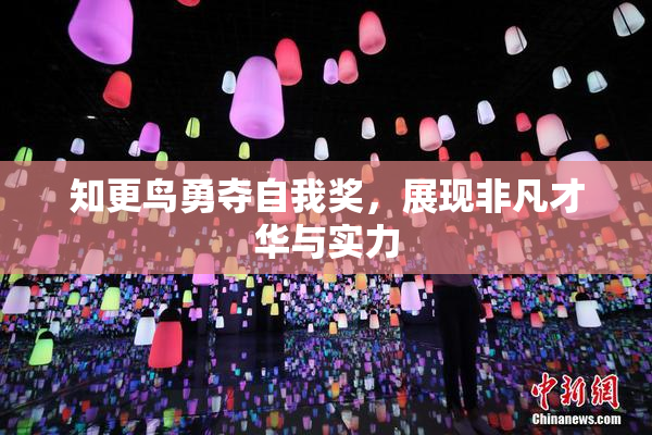 知更鸟勇夺自我奖，展现非凡才华与实力