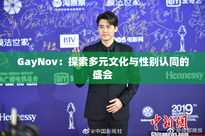 GayNov：探索多元文化与性别认同的盛会