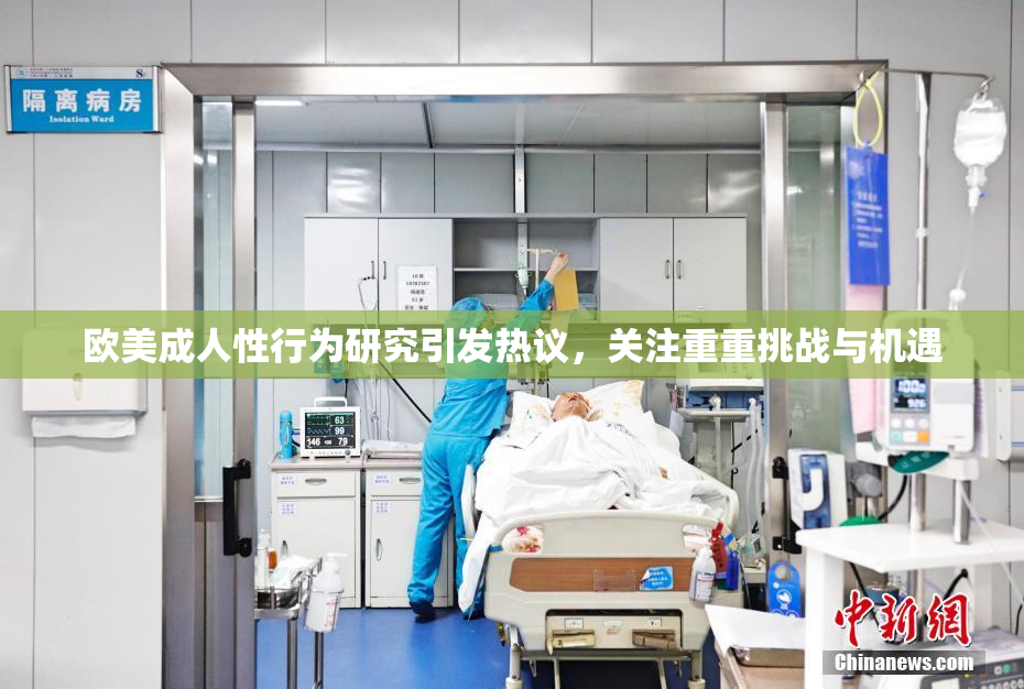 欧美成人性行为研究引发热议，关注重重挑战与机遇