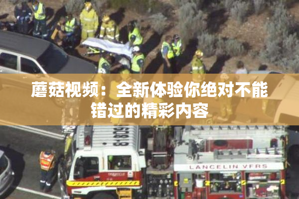 蘑菇视频：全新体验你绝对不能错过的精彩内容