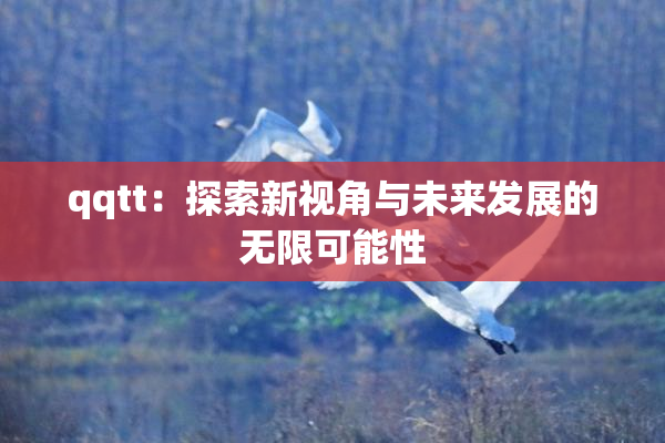 qqtt：探索新视角与未来发展的无限可能性