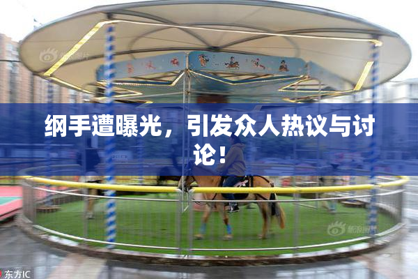 纲手遭曝光，引发众人热议与讨论！