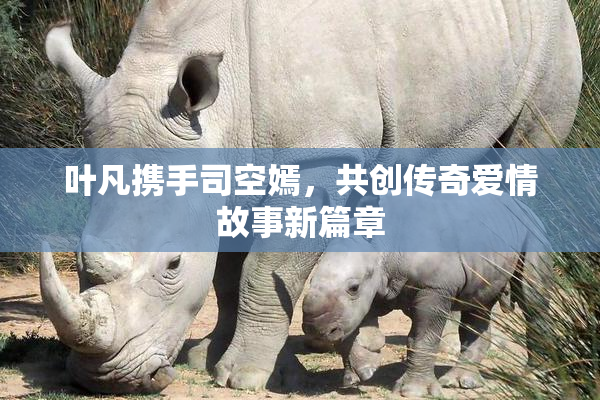 叶凡携手司空嫣，共创传奇爱情故事新篇章
