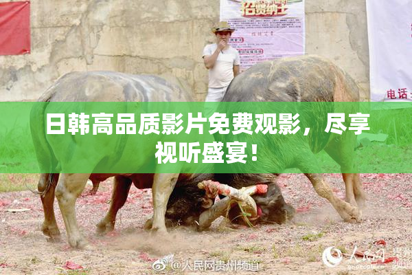 日韩高品质影片免费观影，尽享视听盛宴！