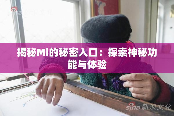 揭秘Mi的秘密入口：探索神秘功能与体验