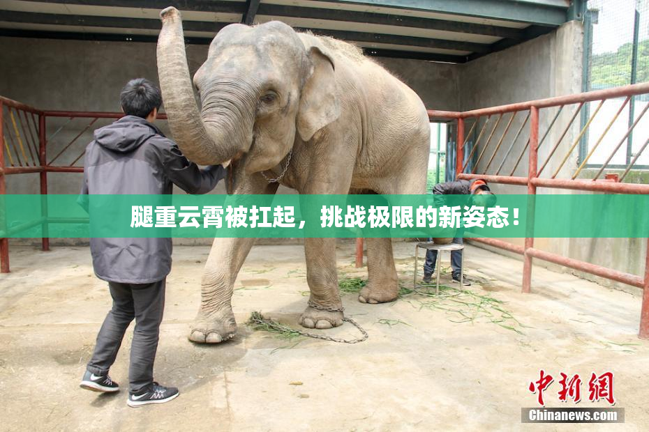 腿重云霄被扛起，挑战极限的新姿态！