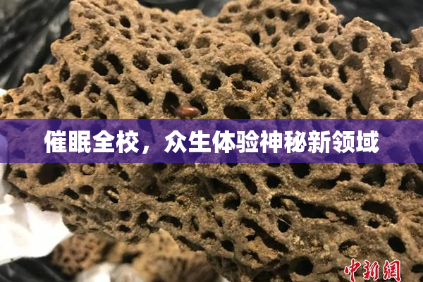 催眠全校，众生体验神秘新领域