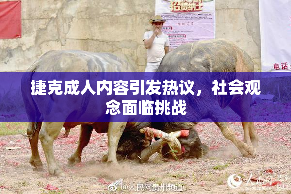 捷克成人内容引发热议，社会观念面临挑战