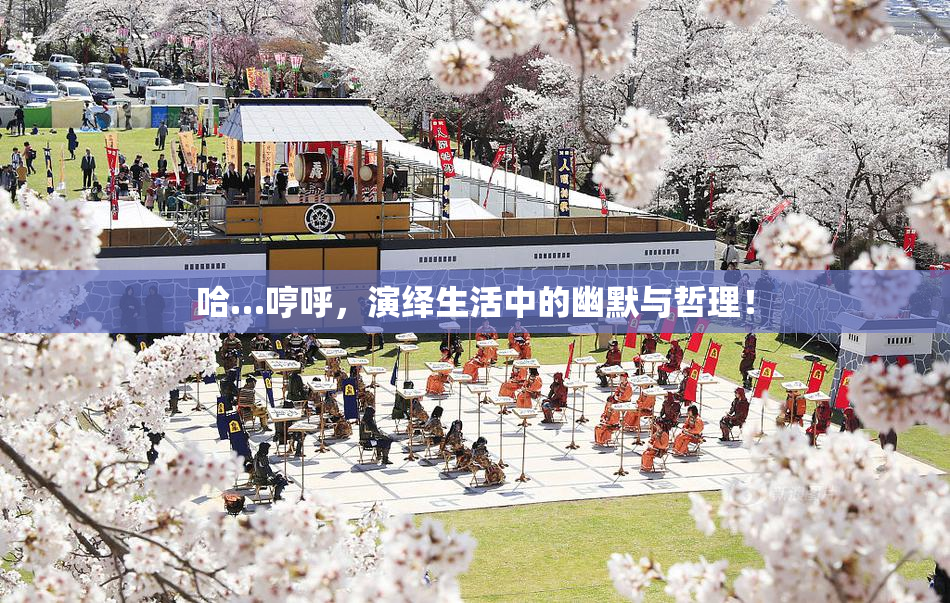 哈…哼呼，演绎生活中的幽默与哲理！