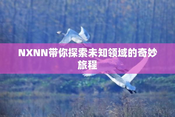 NXNN带你探索未知领域的奇妙旅程