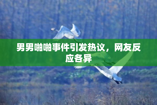 男男啪啪事件引发热议，网友反应各异