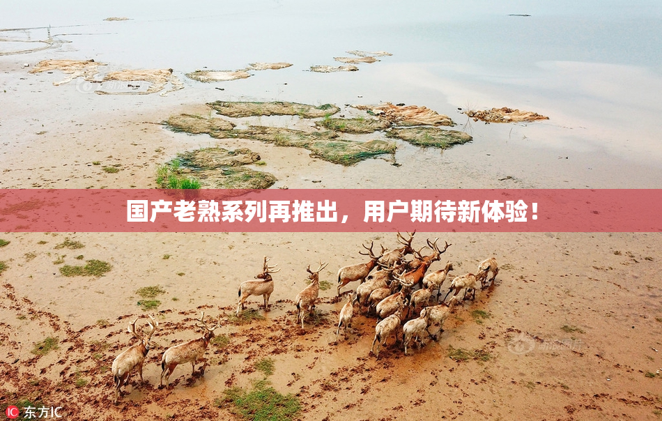 国产老熟系列再推出，用户期待新体验！