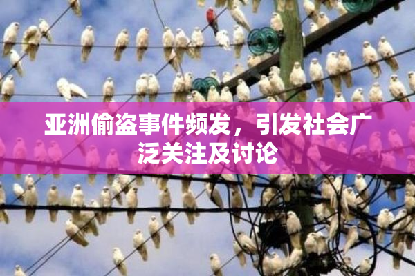 亚洲偷盗事件频发，引发社会广泛关注及讨论