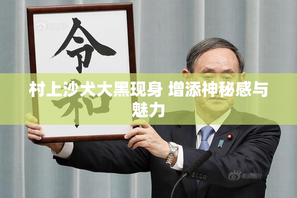 村上沙犬大黑现身 增添神秘感与魅力
