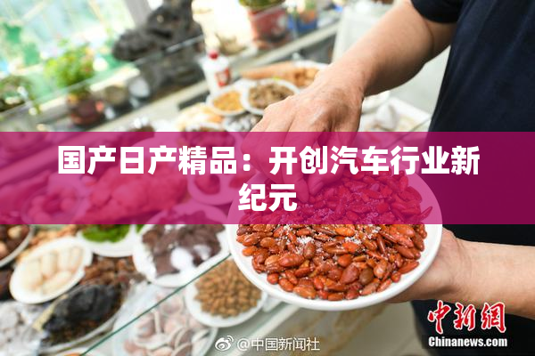 国产日产精品：开创汽车行业新纪元