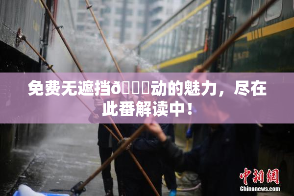 免费无遮挡🔞动的魅力，尽在此番解读中！