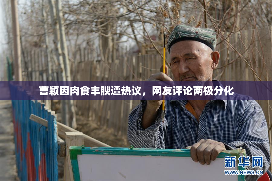 曹颖因肉食丰腴遭热议，网友评论两极分化