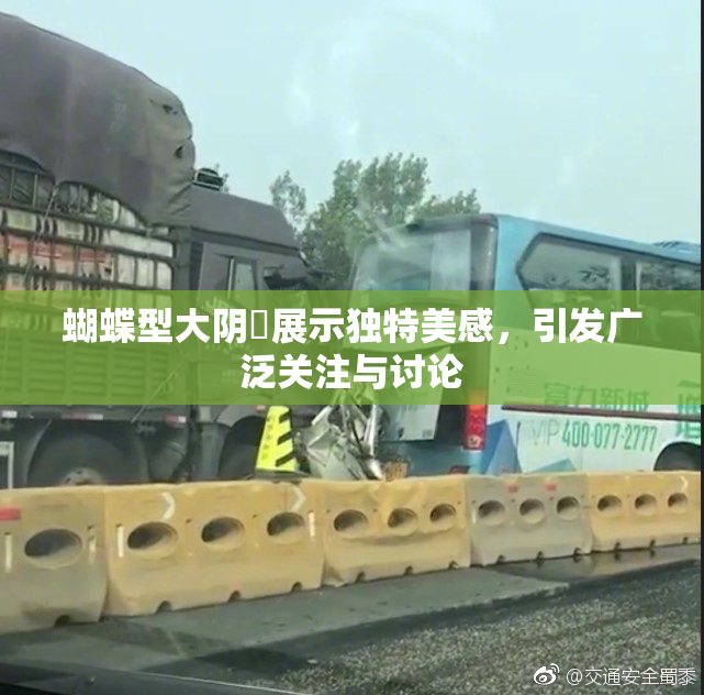 蝴蝶型大阴脣展示独特美感，引发广泛关注与讨论