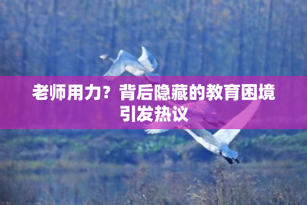 老师用力？背后隐藏的教育困境引发热议