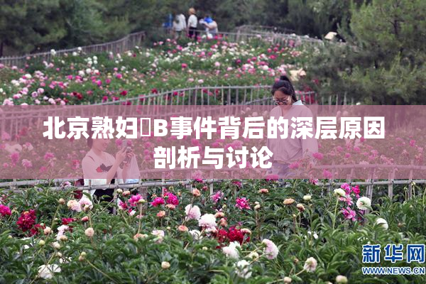 北京熟妇槡B事件背后的深层原因剖析与讨论