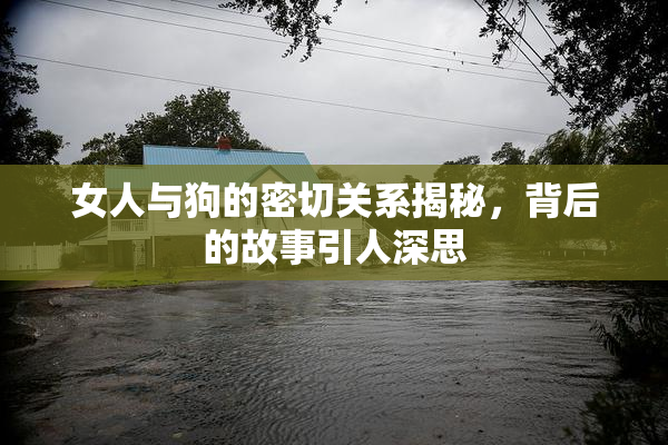女人与狗的密切关系揭秘，背后的故事引人深思