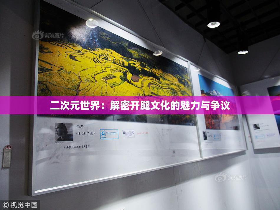 二次元世界：解密开腿文化的魅力与争议