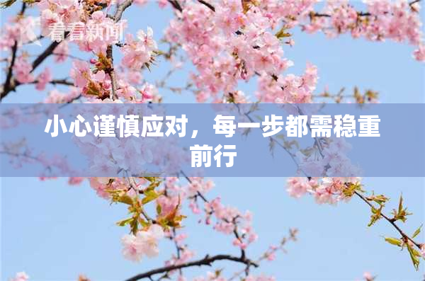 小心谨慎应对，每一步都需稳重前行