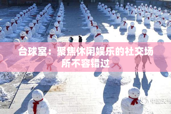 台球室：聚焦休闲娱乐的社交场所不容错过