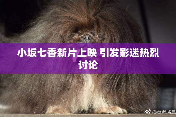 小坂七香新片上映 引发影迷热烈讨论