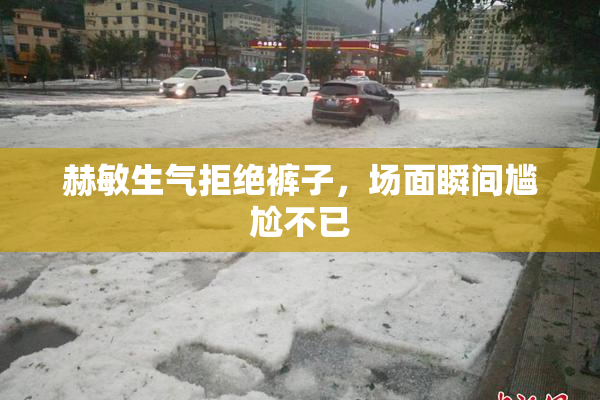 赫敏生气拒绝裤子，场面瞬间尴尬不已