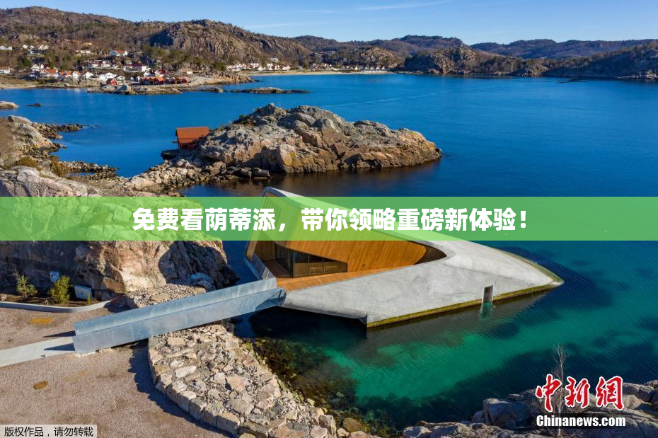 免费看荫蒂添，带你领略重磅新体验！