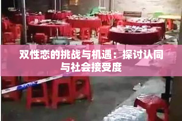 双性恋的挑战与机遇：探讨认同与社会接受度