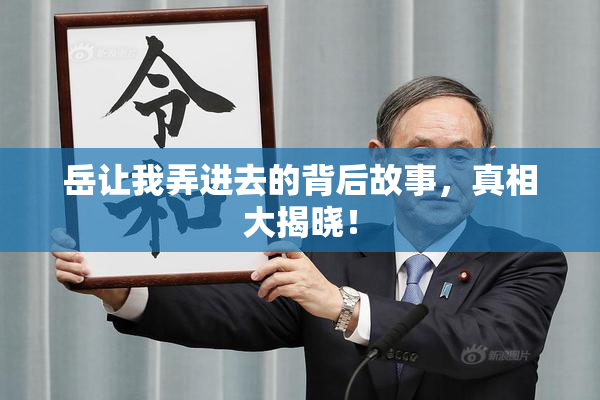 岳让我弄进去的背后故事，真相大揭晓！