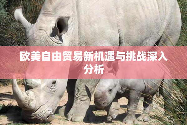 欧美自由贸易新机遇与挑战深入分析