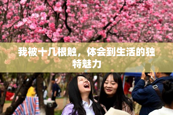 我被十几根触，体会到生活的独特魅力
