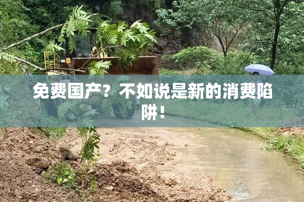 免费国产？不如说是新的消费陷阱！