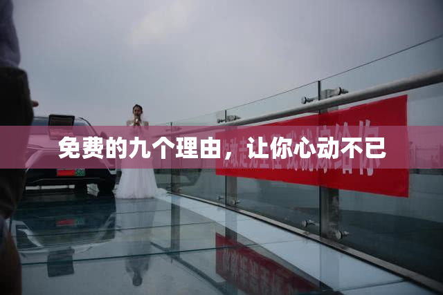免费的九个理由，让你心动不已