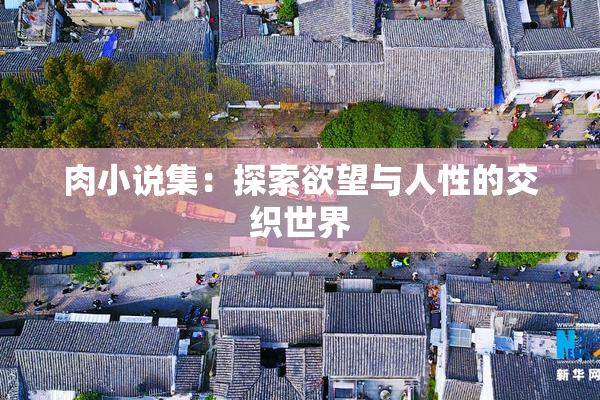 肉小说集：探索欲望与人性的交织世界
